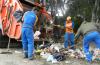 la ONG Tacurú realizando la limpieza del espacio