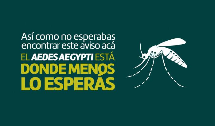 Campaña contra el Dengue | Municipio D